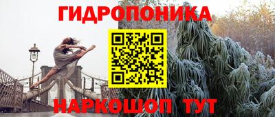 СК Старая Купавна