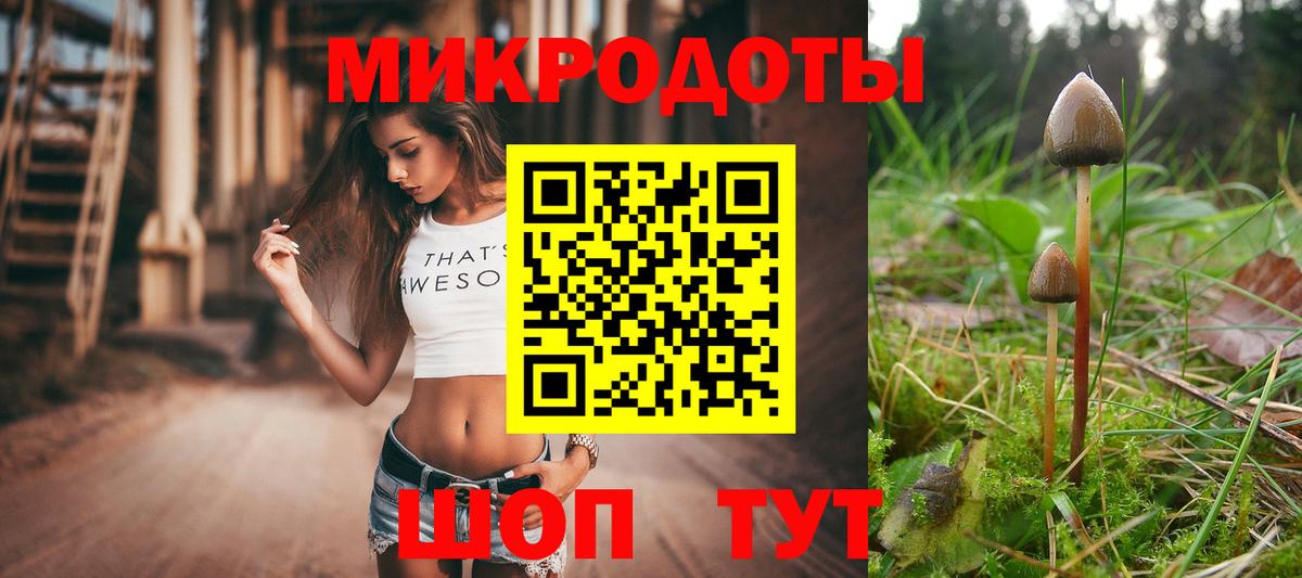 Псилоцибиновые грибы мицелий  Галлюциногенные грибы мухоморы  Вход с VPN  Отрадное 